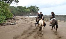 Horseback Riding Tours